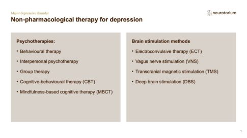 Major Depressive Disorder – Treatment Principles – slide 4